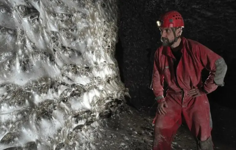 Вчені виявили найбільшу павутину у світі: 111 тисяч павуків у печері на кордоні Греції та Албанії павутина