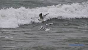 Шторм «Клаудія» накрив Європу: загиблі в Португалії, торнадо, повені та масові евакуації у Британії Шторм «Клаудія» в Європі: загиблі, руйнування, евакуації