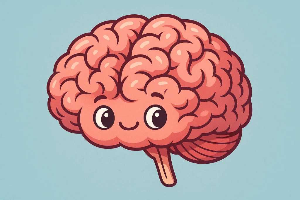 Біологічний вік мозку: у 32 роки починається справжня зрілість