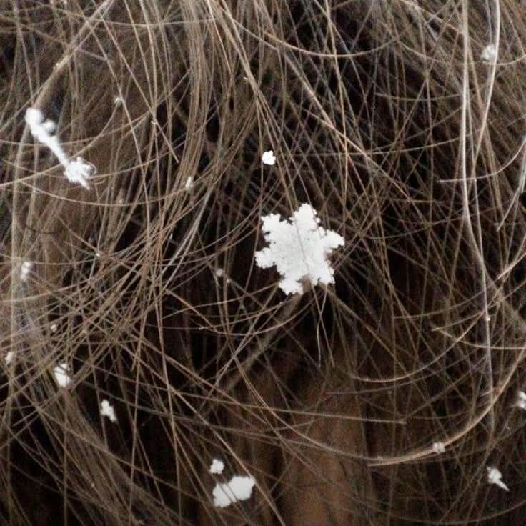 Аномально тепла зима в Україні: що чекати в грудні та після Нового року? сніжинка