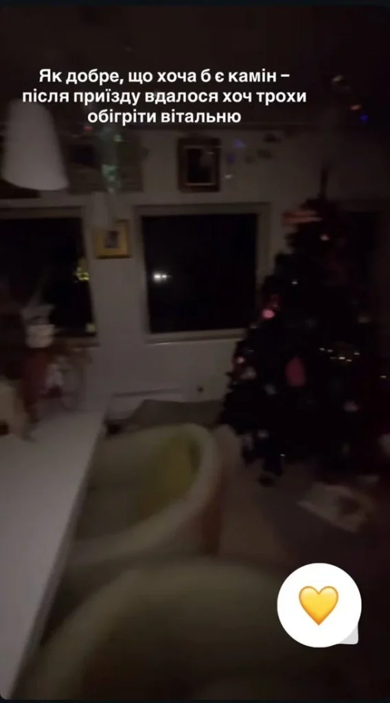 «У домі мінусова температура»: Могилевська повернулась в Україну і показала холодний дім