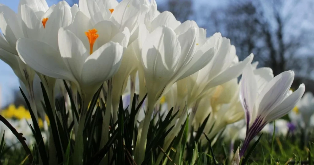 Погода у березні 2026 в Україні: коли похолодає до -13, де буде тепліше та скільки опадів чекати Погода у березні 2026 в Україні: коли похолодає до -13, де буде тепліше та скільки опадів чекати