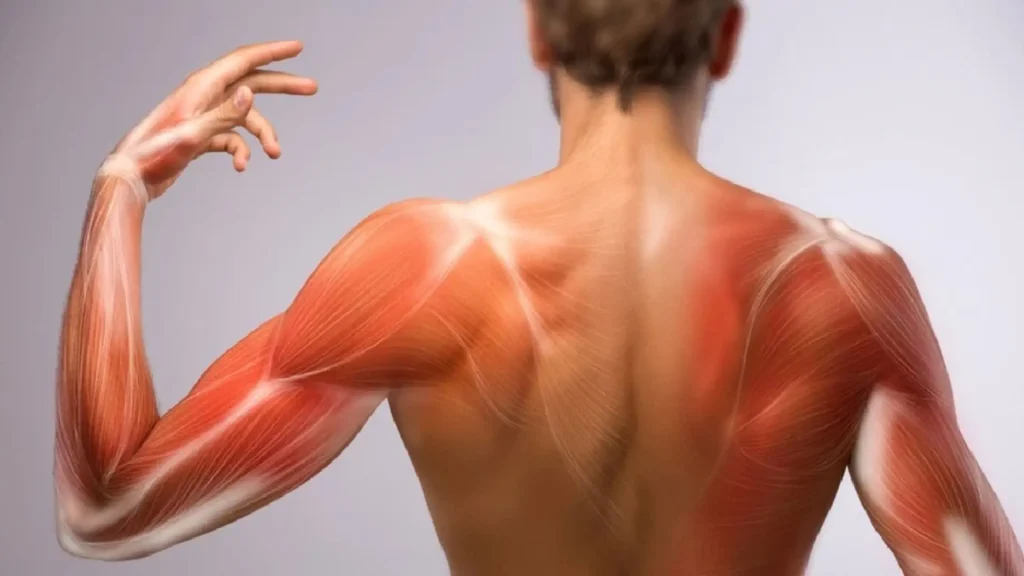 Що робити при крепатурі: сон для м’язів, вода і розтяжка після тренування Що робити при крепатурі: сон для м’язів, вода і розтяжка після тренування