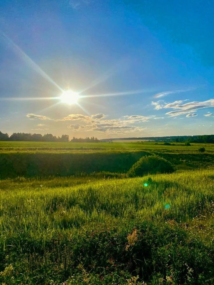 Україну накриє потепління, але не без “сюрпризів”: якою буде погода на тиждень