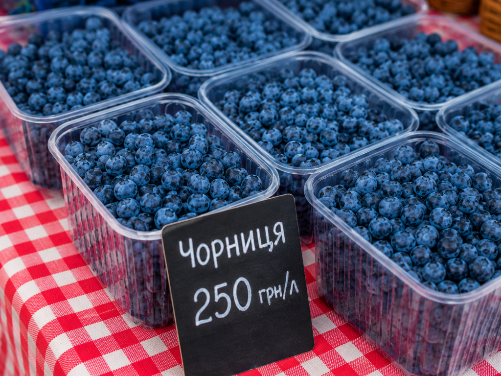 Ціна на чорницю в Україні різко зросла: скільки коштує літр ягід у 2026 році